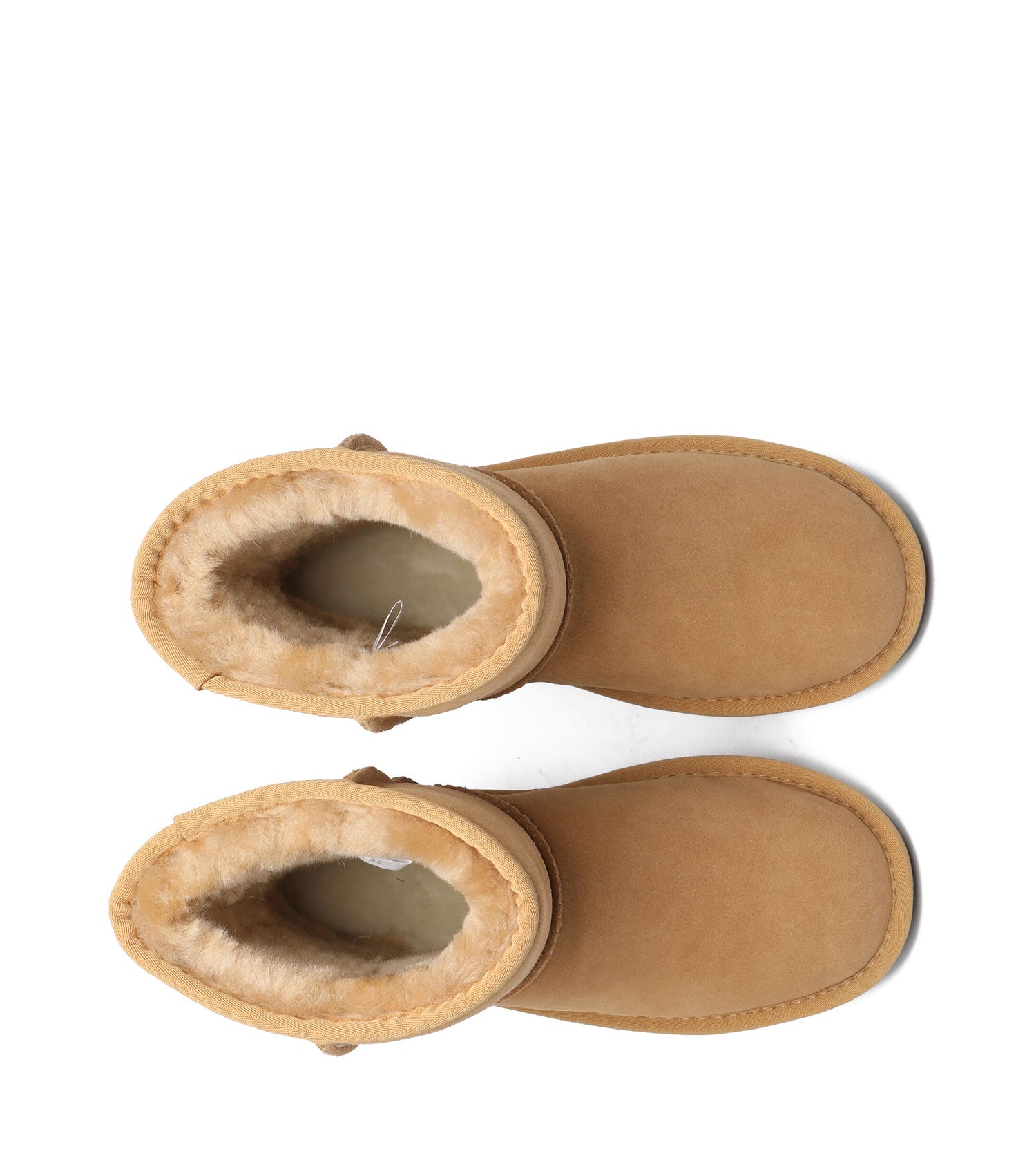 TARRAMARRA SP Short Classic Plus UGG Boots - SPTA3051-PEROZ Accessories