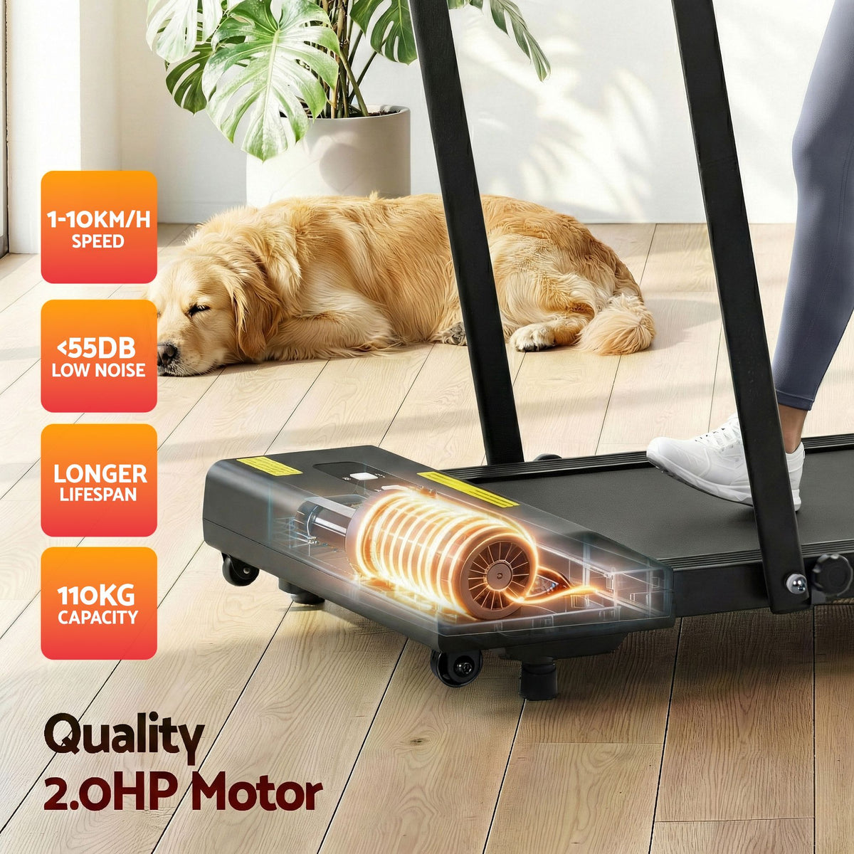 Everfit 2 in 1 Treadmill Electric Walking Pad Under Desk Home Gym Fitness 380mm Black-Walking Pad-PEROZ Accessories
