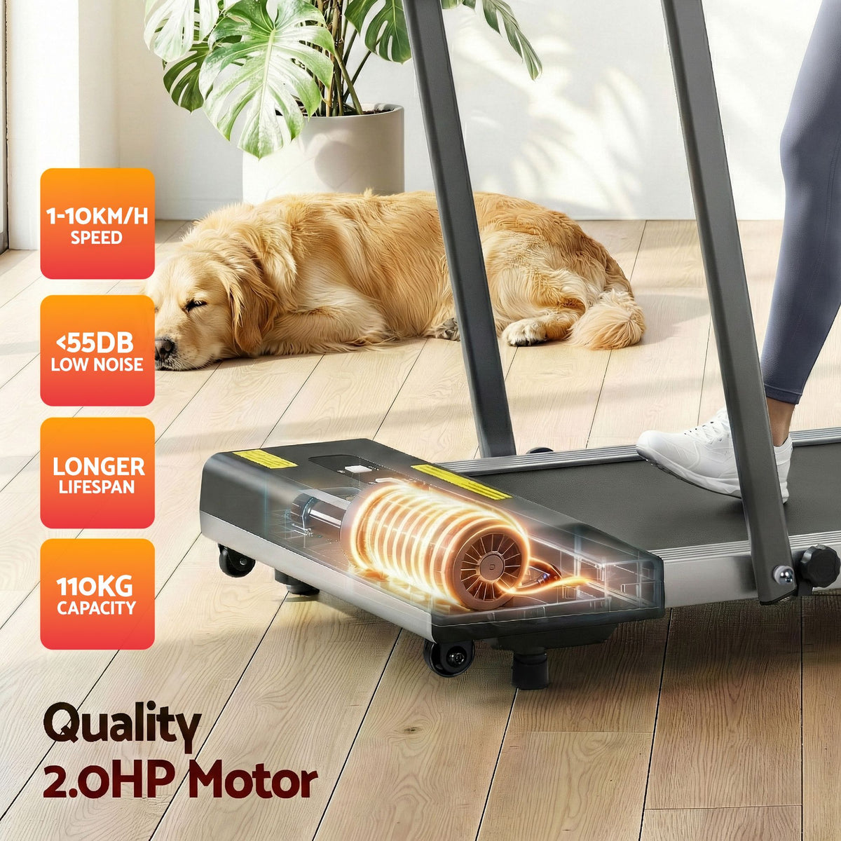 Everfit 2 in 1 Treadmill Electric Walking Pad Under Desk Home Gym Fitness 380mm Grey-Walking Pad-PEROZ Accessories