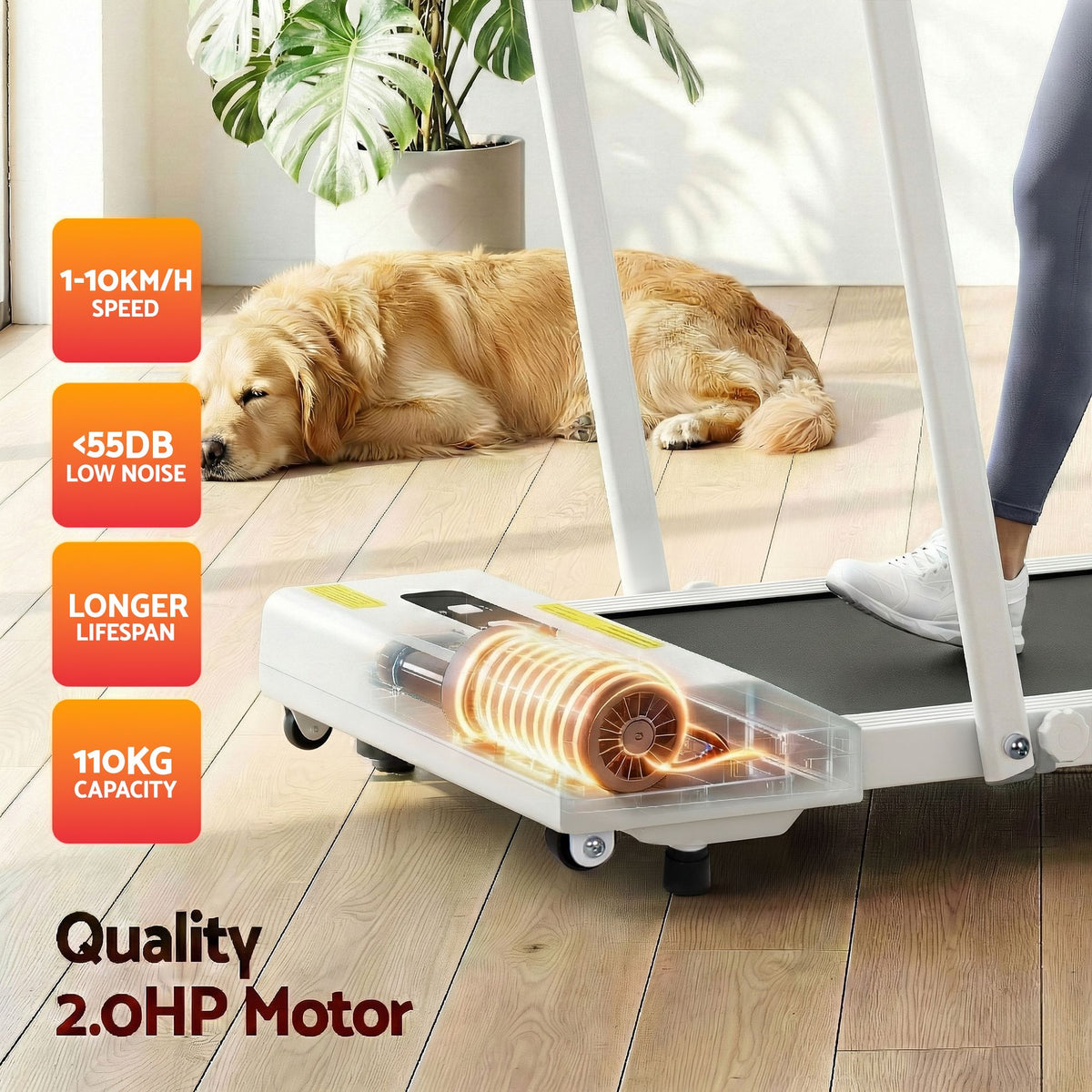 Everfit 2 in 1 Treadmill Electric Walking Pad Under Desk Home Gym Fitness 380mm White-Walking Pad-PEROZ Accessories