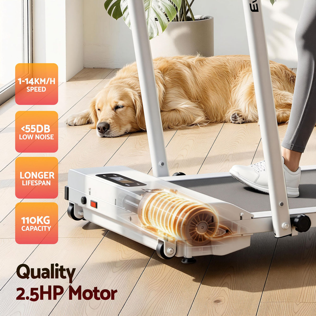 Everfit 3 in 1 Walking Pad Treadmill 12% Incline Foldable Under Desk Treadmills for Home Gym With 38cm Wide Belt White-Sports & Fitness > Exercise, Gym & Fitness > Treadmills-PEROZ Accessories
