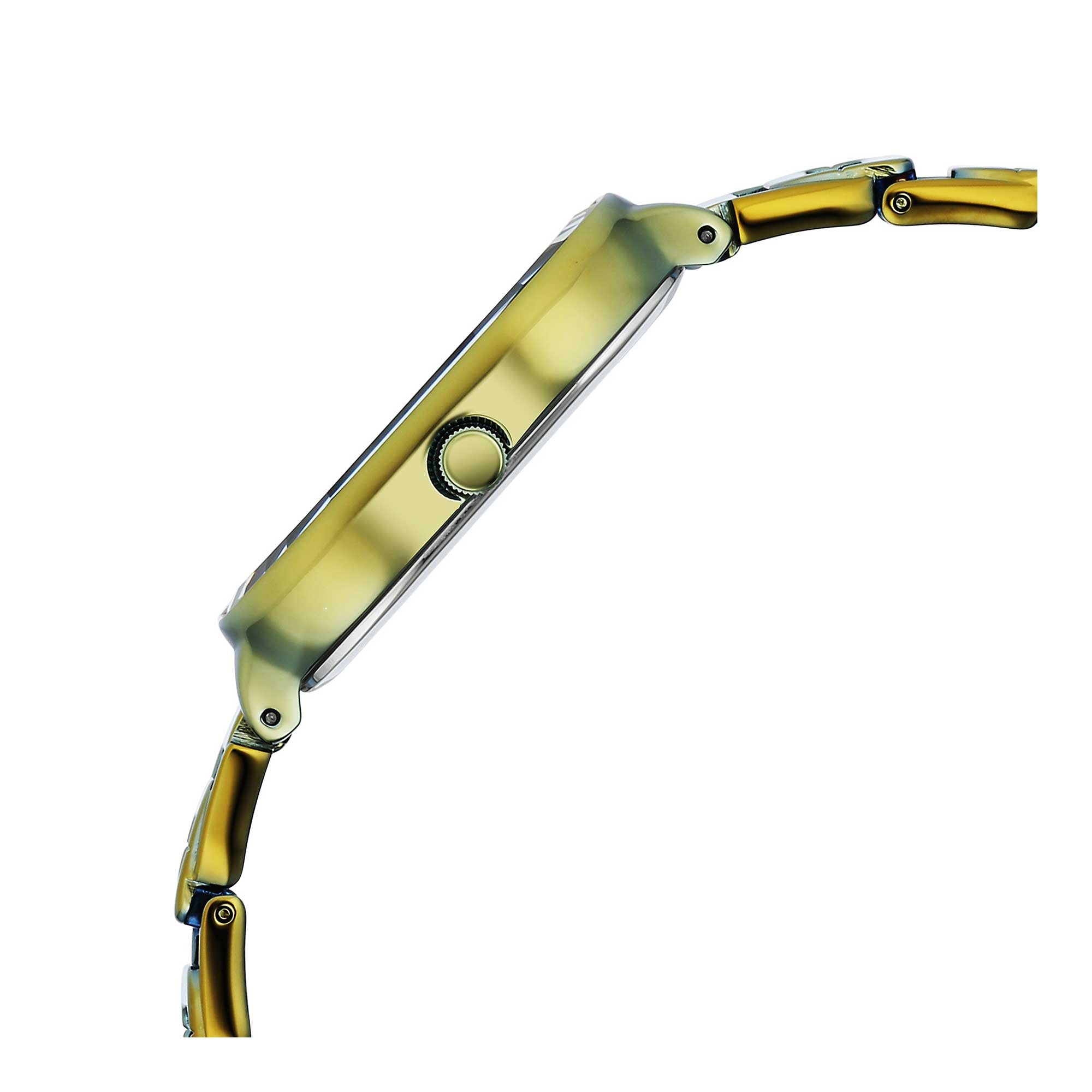 Titan Raga Chic Quartz Analogue Green Dial Green Metal Strap Watch for Women-PEROZ Accessories