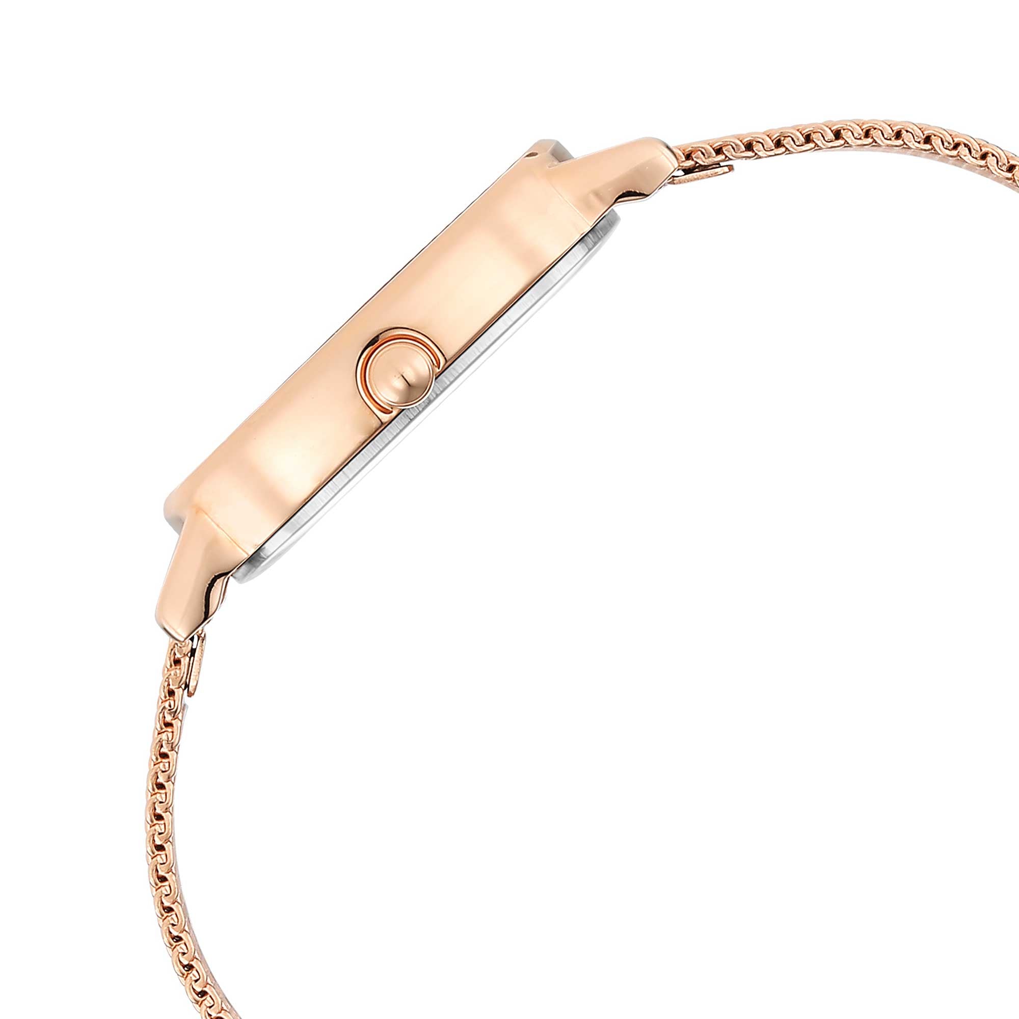 Titan Raga Viva Brown Dial Analogue Stainless Steel Strap Watch for Women-PEROZ Accessories