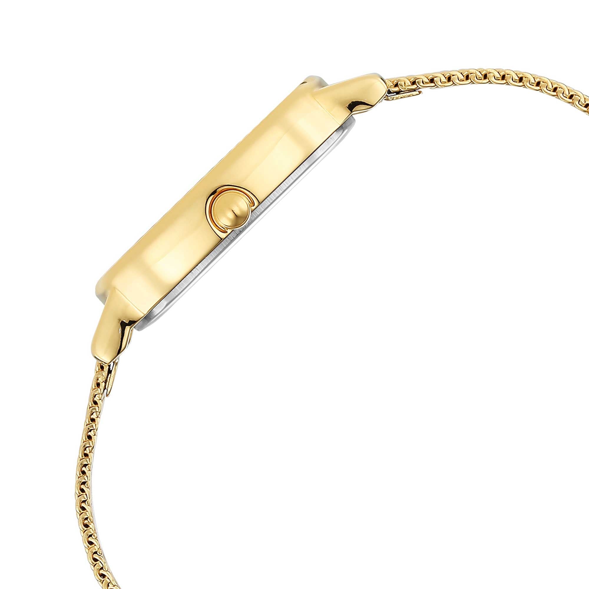 Titan Raga Viva Champagne Dial Analogue Stainless Steel Strap watch for Women-PEROZ Accessories