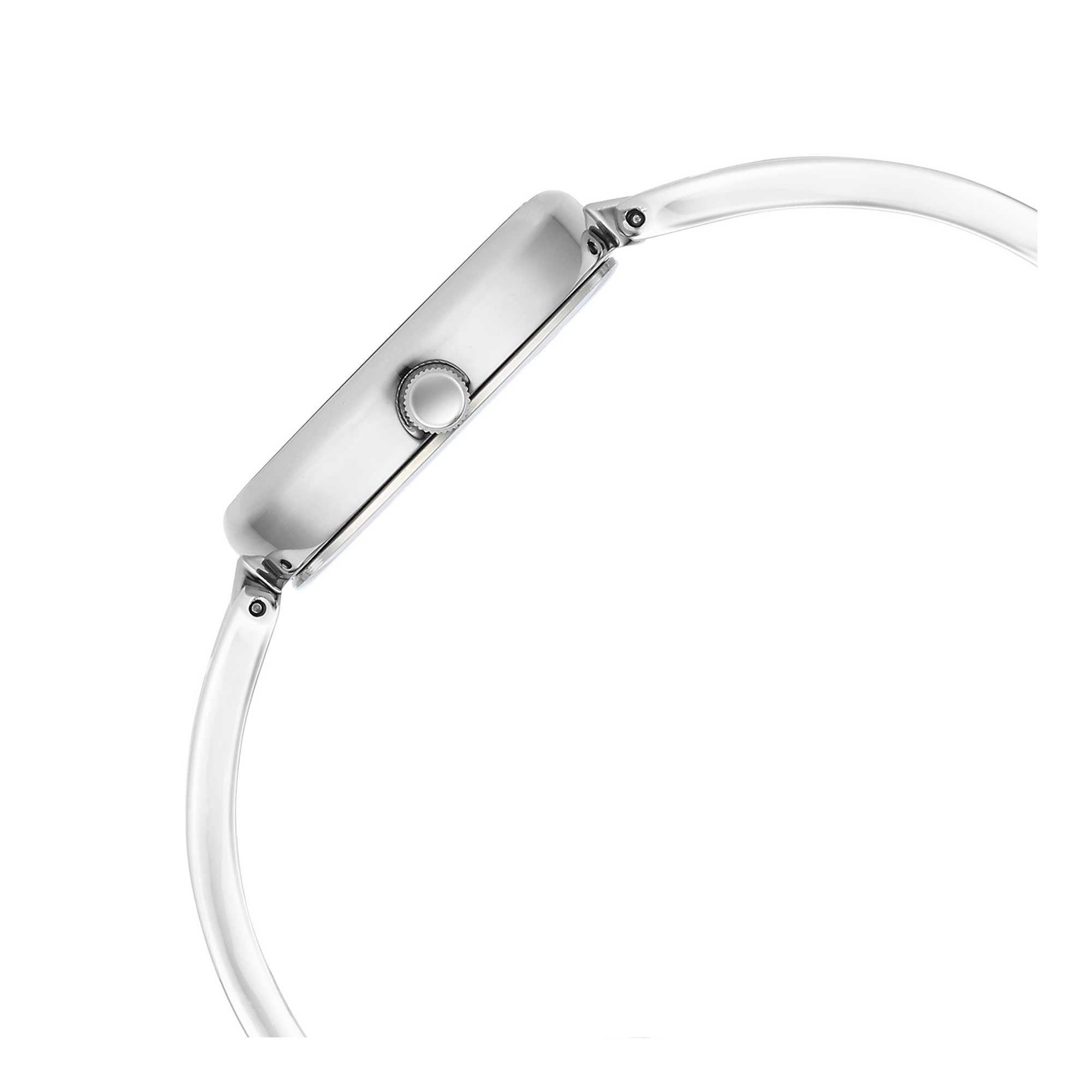 Titan Raga Viva Silver Dial Metal Strap Watch for Women-PEROZ Accessories