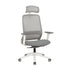 Carlie High Back Molded Foam Seat Ergonomic Office Chair In Grey-Furniture > Office > Office & Desk Chairs-PEROZ Accessories