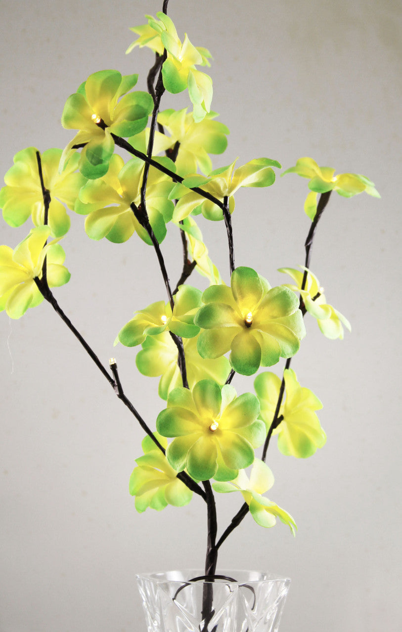 1 Set of 50cm H 20 LED Green Frangipani Tree Branch Stem Fairy Light Wedding Event Party Function Table Vase Centrepiece Tropical Decoration-Home & Garden > Decor > Vases & Table Decor-PEROZ Accessories
