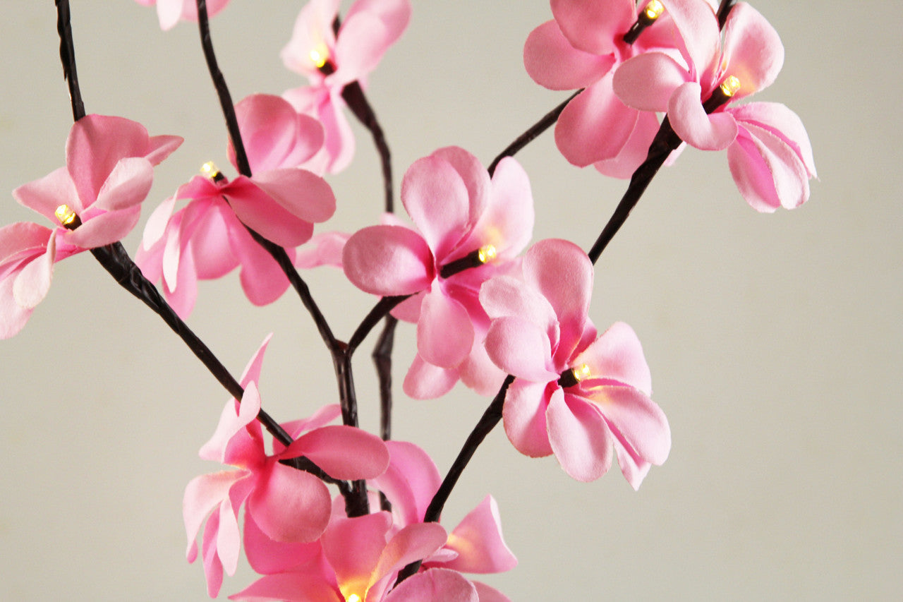 1 Set of 50cm H 20 LED Pink Frangipani Tree Branch Stem Fairy Light Wedding Event Party Function Table Vase Centrepiece Decoration Girl Bedroom-Home & Garden > Decor > Vases & Table Decor-PEROZ Accessories