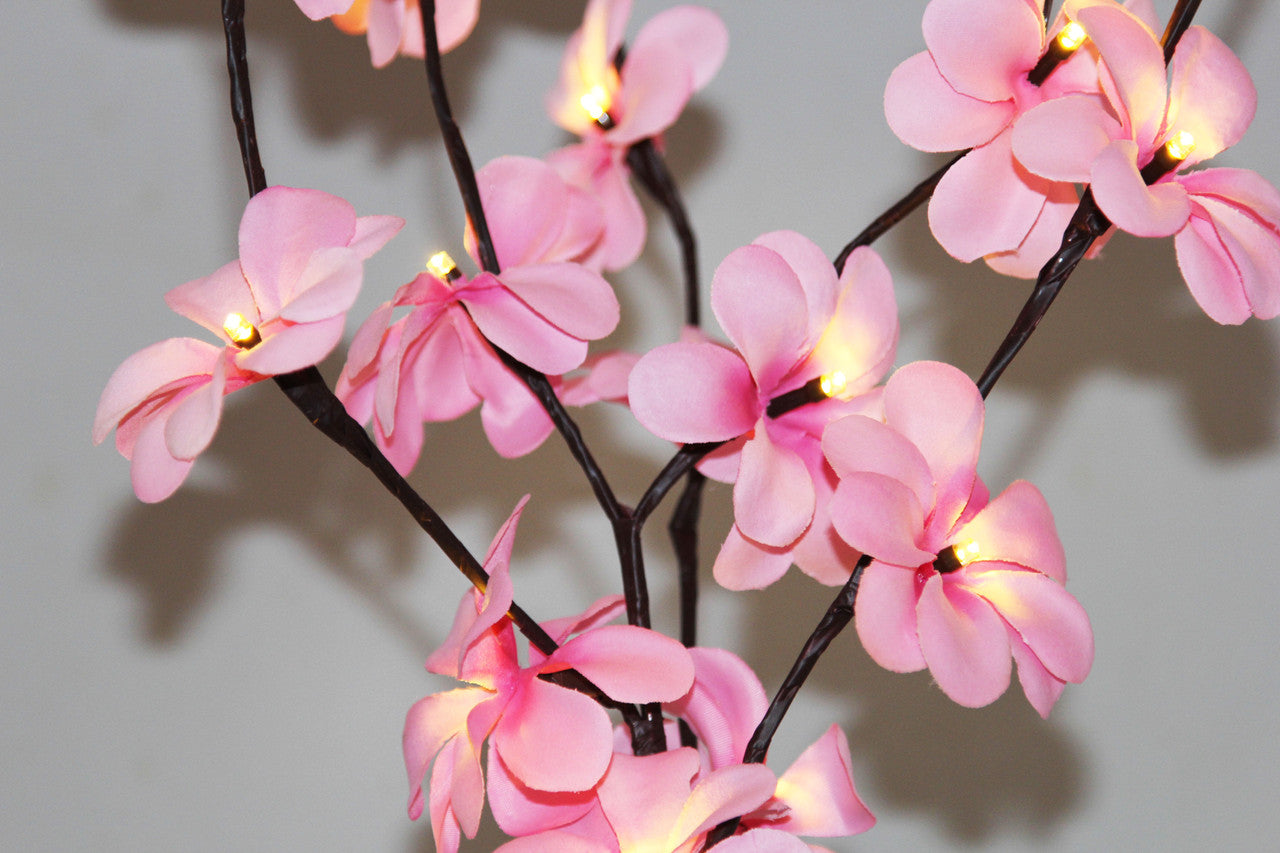 1 Set of 50cm H 20 LED Pink Frangipani Tree Branch Stem Fairy Light Wedding Event Party Function Table Vase Centrepiece Decoration Girl Bedroom-Home & Garden > Decor > Vases & Table Decor-PEROZ Accessories