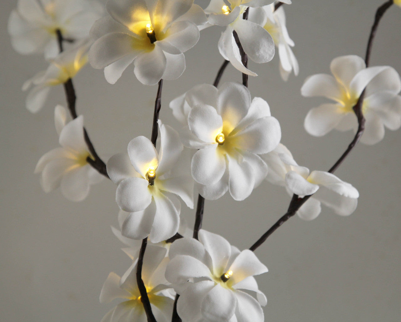 1 Set of 50cm H 20 LED White Frangipani Tree Branch Stem Fairy Light Wedding Event Party Function Table Vase Centrepiece Decoration-Home & Garden > Decor > Vases & Table Decor-PEROZ Accessories
