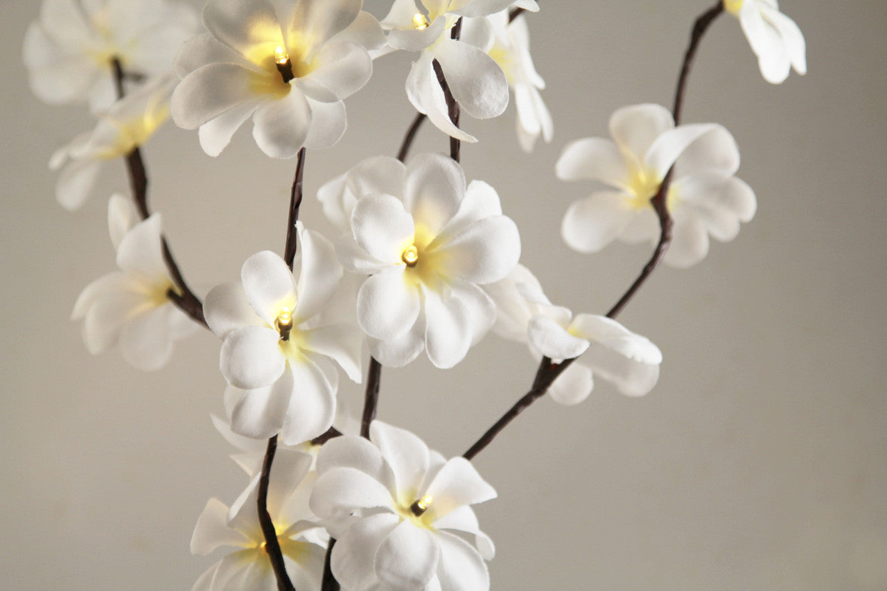 1 Set of 50cm H 20 LED White Frangipani Tree Branch Stem Fairy Light Wedding Event Party Function Table Vase Centrepiece Decoration-Home & Garden > Decor > Vases & Table Decor-PEROZ Accessories