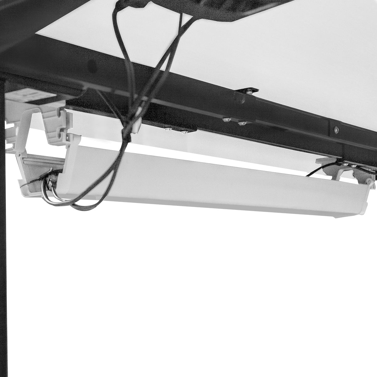 WalkingPad C2 Treadmill + ErgoDesk Automatic Standing Desk 1500mm in White/Black + Cable Management Tray-Walking Pad-PEROZ Accessories