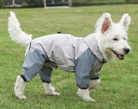 Waterproof Dog Raincoat with Hidden Leash Hole - Windproof and Comfortable for Outdoor Walks, Size:S (Back Length 20cm/7.87in, Bra 31cm/12.20in) Grey-Pet Care > Dog Supplies > Dog Apparel-PEROZ Accessories