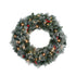 Jingle Jollys 60cm Christmas Wreath LED Lights Snowy Berries Garland Party Decor-Occasions > Christmas > Christmas Wreaths & Garlands-PEROZ Accessories
