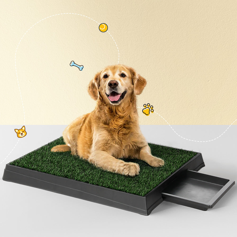 i.Pet Pet Training Pad Dog Potty Toilet Large Portable With Tray Grass 2 Mats-Pet Care > Dog Supplies > Dog Training Aids-PEROZ Accessories