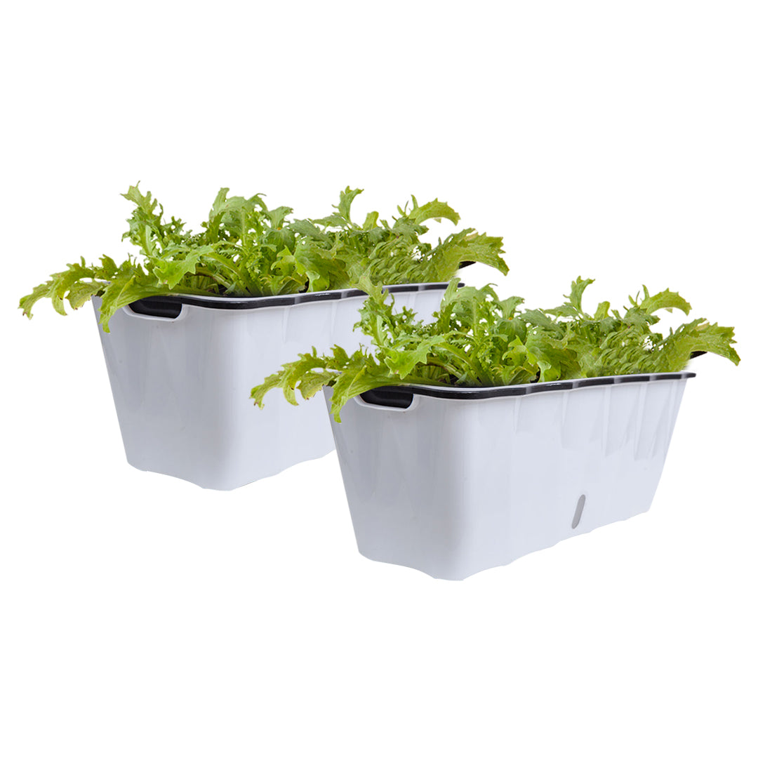 SOGA 2X Large White Rectangular Flowerpot Vegetable Herb Flower Outdoor Plastic Box Garden Decor-Indoor Pots, Planters and Plant Stands-PEROZ Accessories