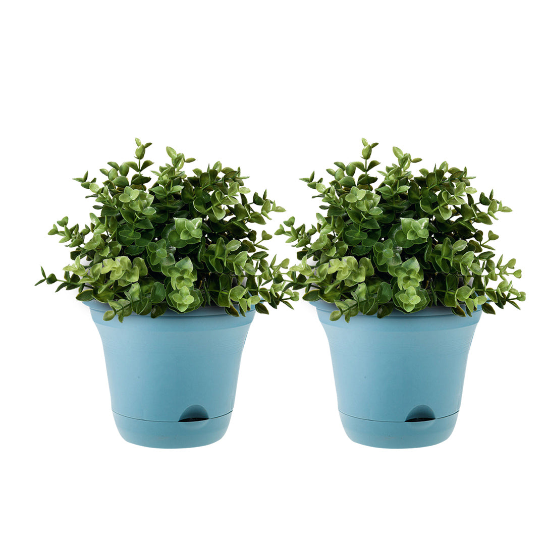 SOGA 20cm Blue Plastic Plant Pot Self Watering Planter Flower Bonsai Indoor Outdoor Garden Decor Set of 2-Indoor Pots, Planters and Plant Stands-PEROZ Accessories