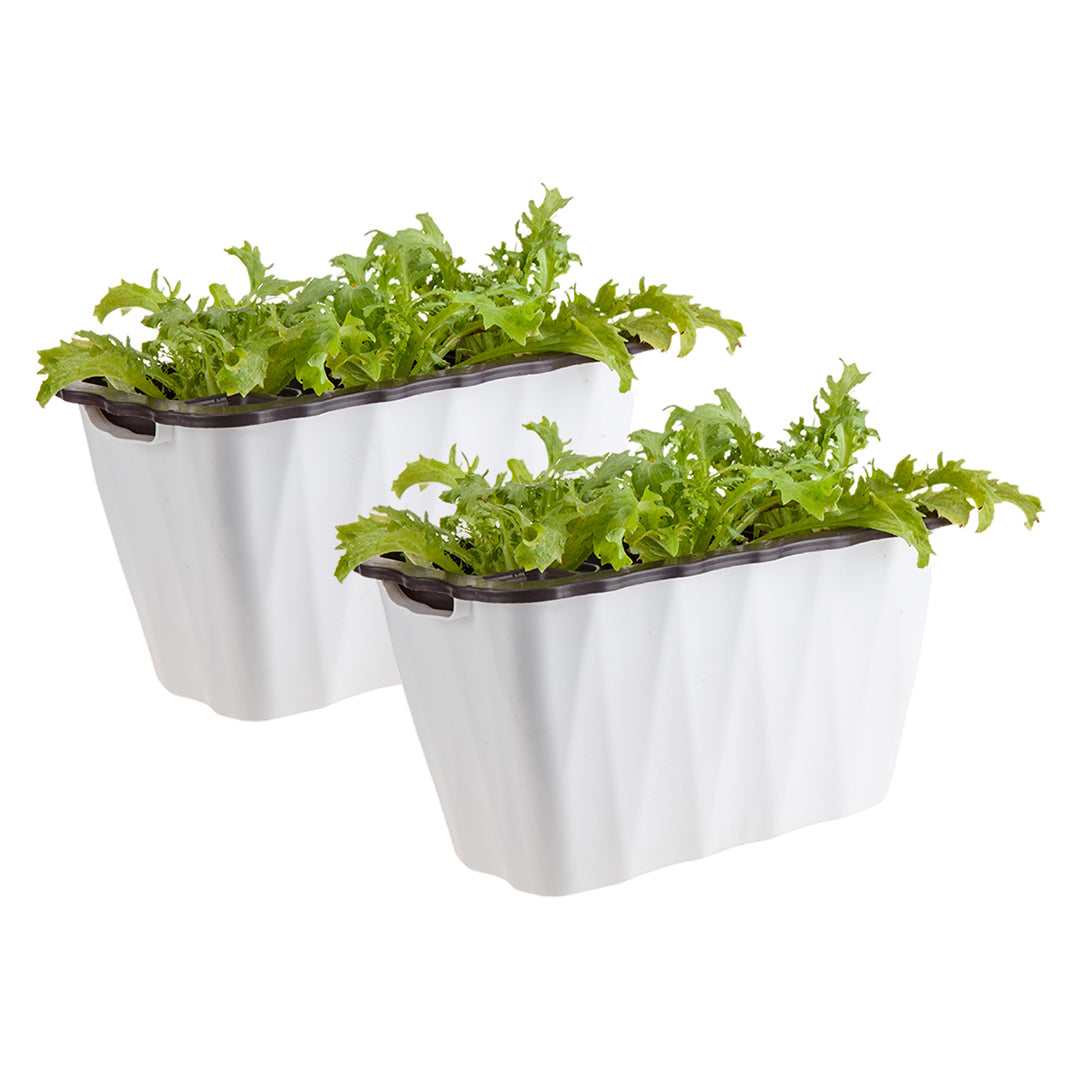 SOGA 2X 35cm Small White Rectangular Flowerpot Vegetable Herb Flower Outdoor Plastic Box Garden Decor-Indoor Pots, Planters and Plant Stands-PEROZ Accessories