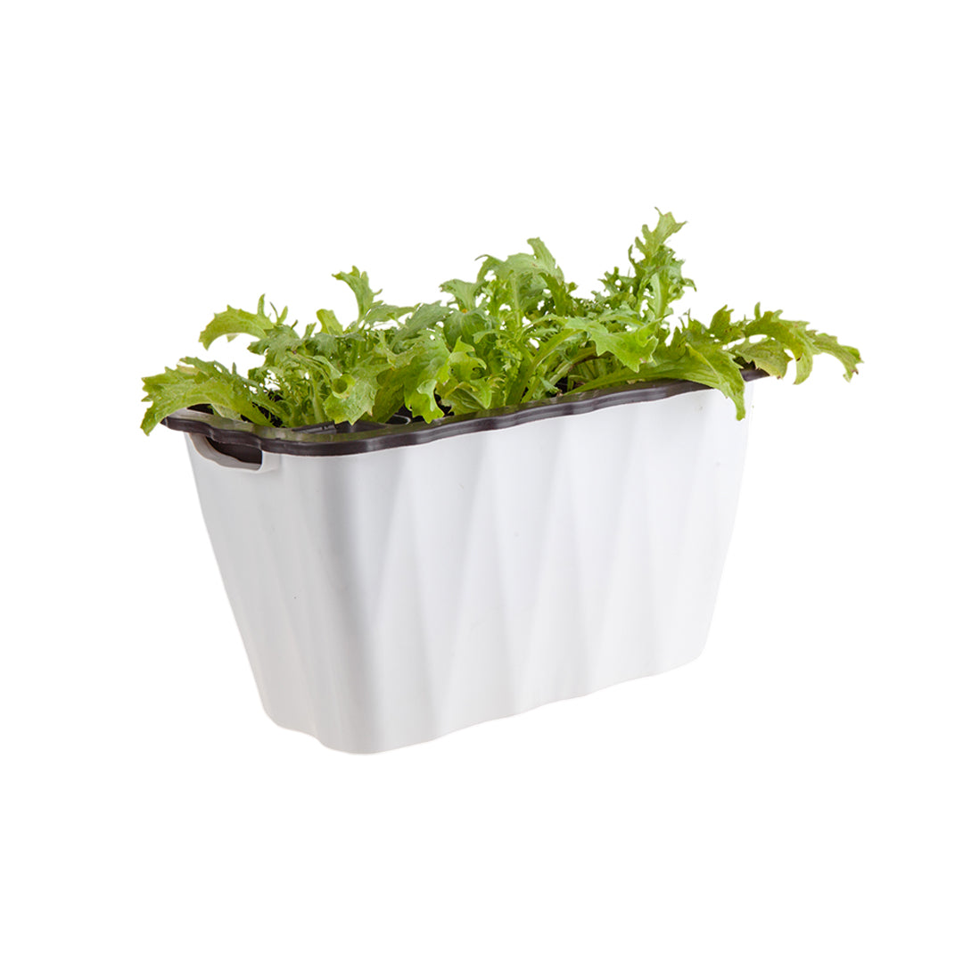 SOGA 35cm Small White Rectangular Flowerpot Vegetable Herb Flower Outdoor Plastic Box Garden Decor-Indoor Pots, Planters and Plant Stands-PEROZ Accessories