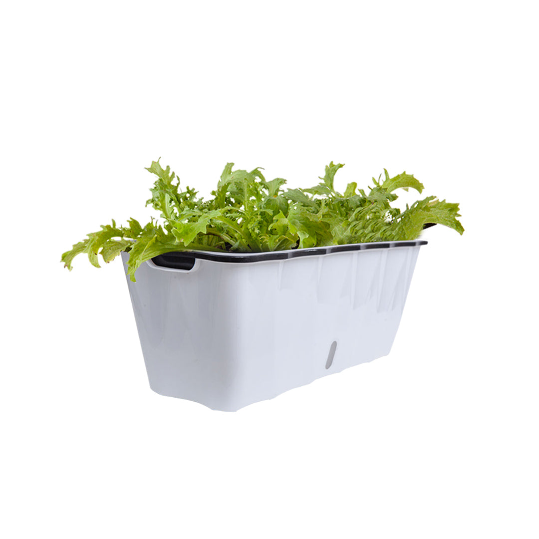 SOGA 50cm Large White Rectangular Flowerpot Vegetable Herb Flower Outdoor Plastic Box Garden Decor-Indoor Pots, Planters and Plant Stands-PEROZ Accessories