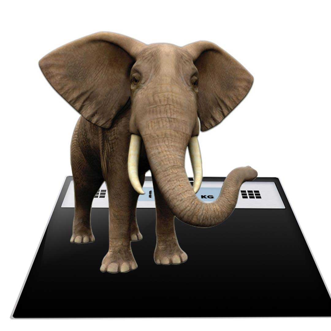 SOGA 180kg Electronic Talking Scale Weight Fitness Glass Bathroom Scale LCD Display Stainless-Body Weight Scales-PEROZ Accessories