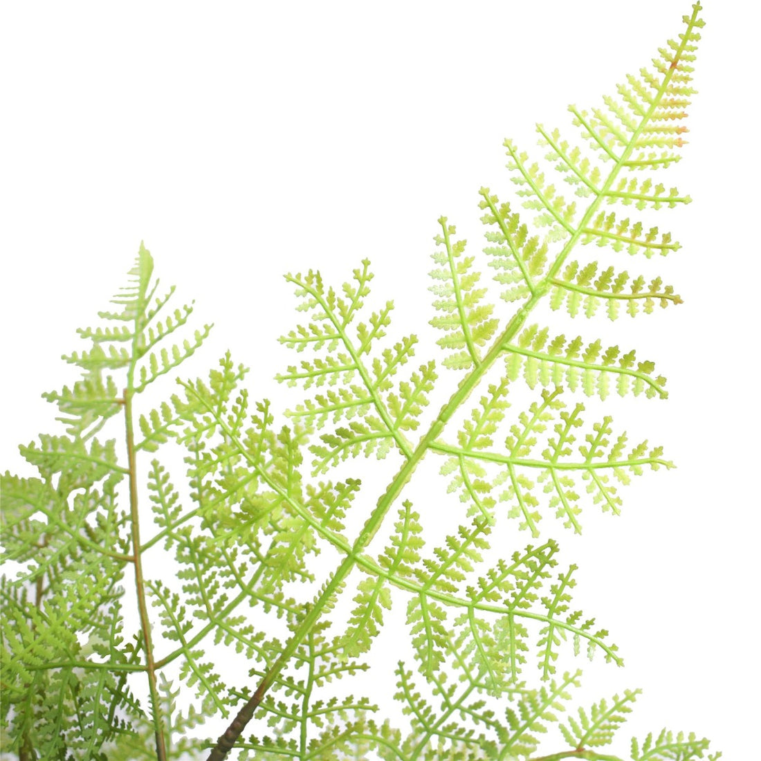 Faux Natural Fern Tree 90cm-Home &amp; Garden &gt; Artificial Plants-PEROZ Accessories
