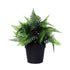 Small Potted Artificial Persa Boston Fern Plant UV Resistant 20cm-Home & Garden > Artificial Plants-PEROZ Accessories