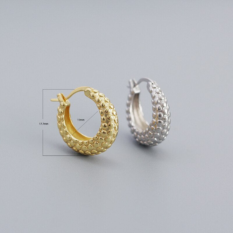 Anyco Hoop Fashion Earrings Punk French Statement Huggies Women Hip Hop Charming Party Jewelry Sterling Silver-Earrings-PEROZ Accessories