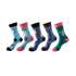 Anysox 5 Pairs One Size 5-11 Mixed Color Set Christmas Socks Cotton Fashion Random Animals Woman Skateboard Oil Paitiing-Socks-PEROZ Accessories