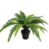 Artificial Potted Natural Green Boston Fern (50cm high 70cm wide)-Home & Garden > Artificial Plants-PEROZ Accessories