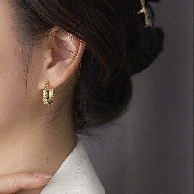Anyco Hoop Fashion Earrings Punk French Statement Huggies Women Hip Hop Charming Party Jewelry Sterling Silver-Earrings-PEROZ Accessories