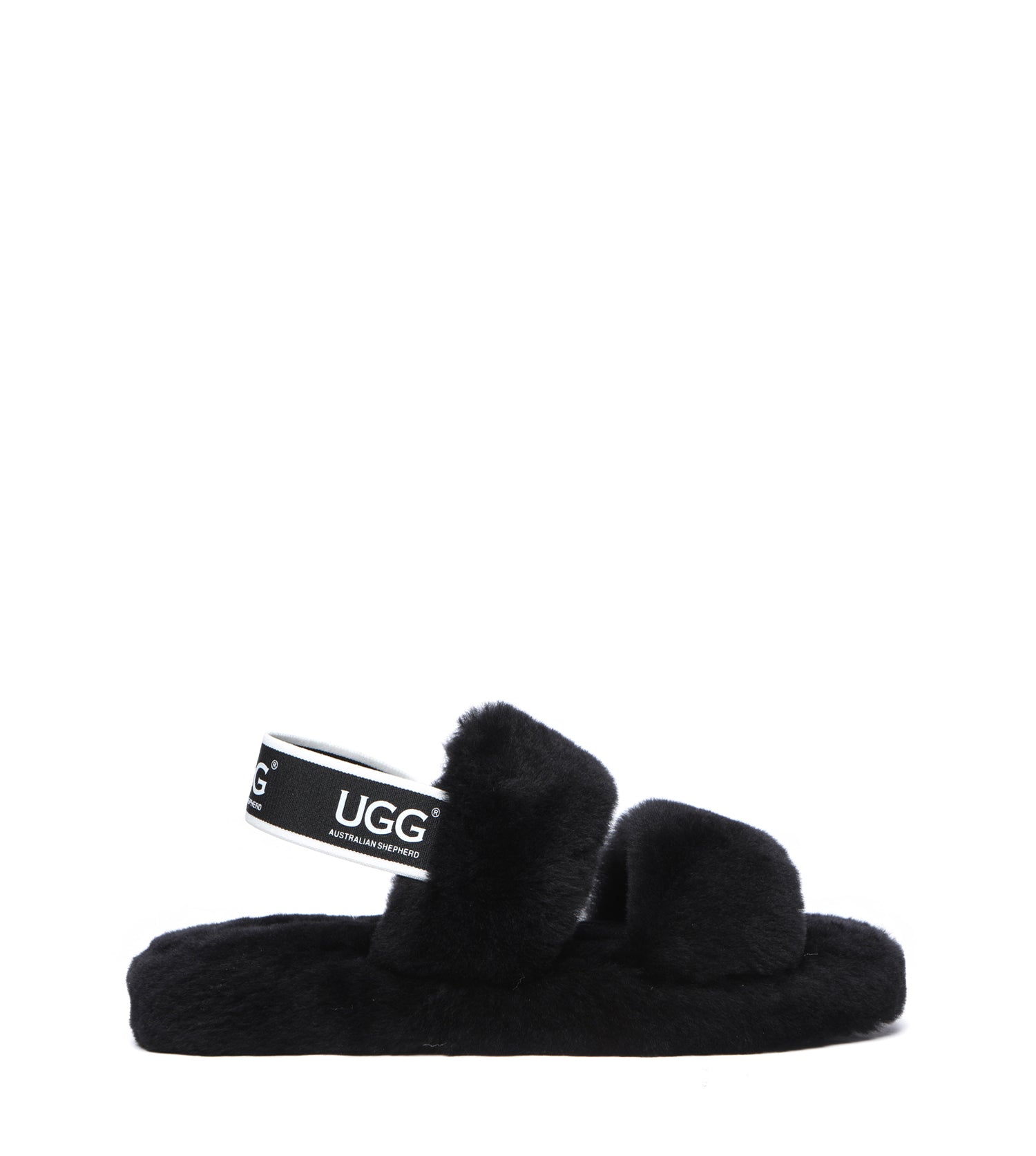 Australian Shepherd Lonnie Women&