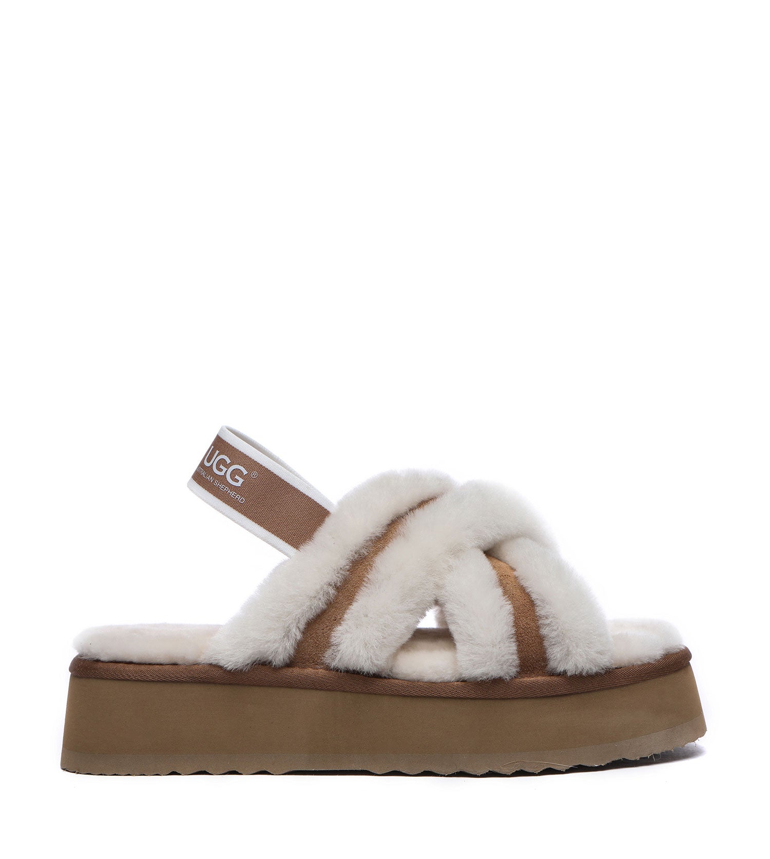 Shop Australian Shepherd Aditi Women's Slippers | PEROZ