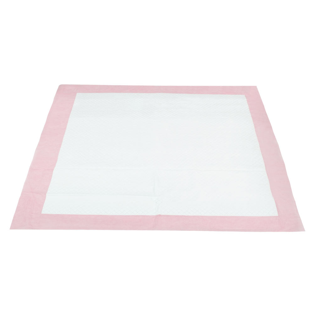 i.Pet Pet Training Pads 200 Puppy Dog Cat Toilet Indoor 60x60cm Super Absorbent-Pet Care > Dog Supplies-PEROZ Accessories