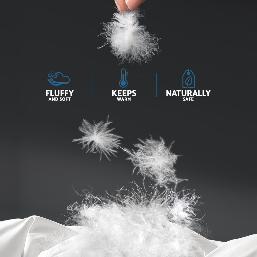 Giselle Bedding Duck Down Feather Quilt 500GSM Queen Size-Home & Garden > Bedding-PEROZ Accessories