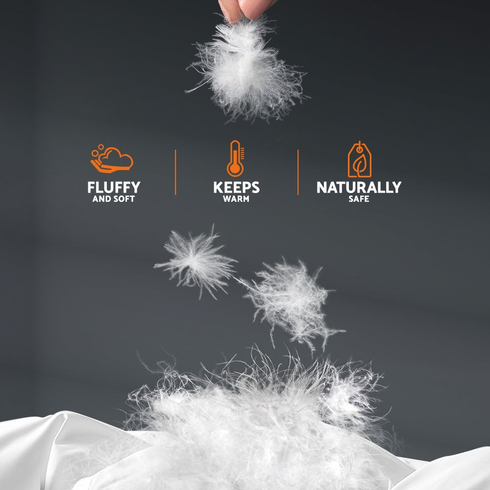 Giselle Bedding Queen Size 500GSM Goose Down Feather Quilt-Home & Garden > Bedding-PEROZ Accessories