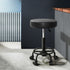 Artiss 2X Salon Stool Swivel Round Barber Hair Bar Stools Hydraulic Lift Black-Furniture > Bar Stools & Chairs - Peroz Australia - Image - 1