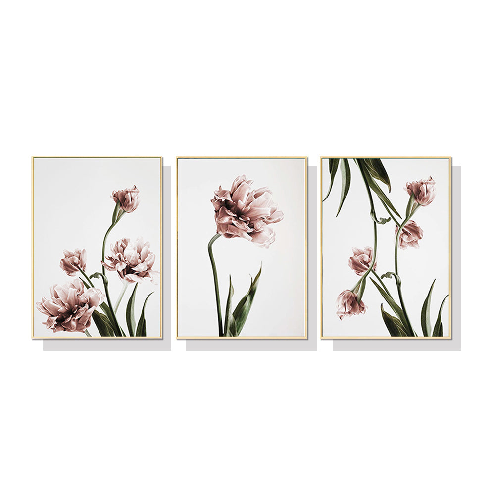 50cmx70cm Tulip Flower 3 Sets Gold Frame Canvas Wall Art-Home & Garden > Wall Art-PEROZ Accessories