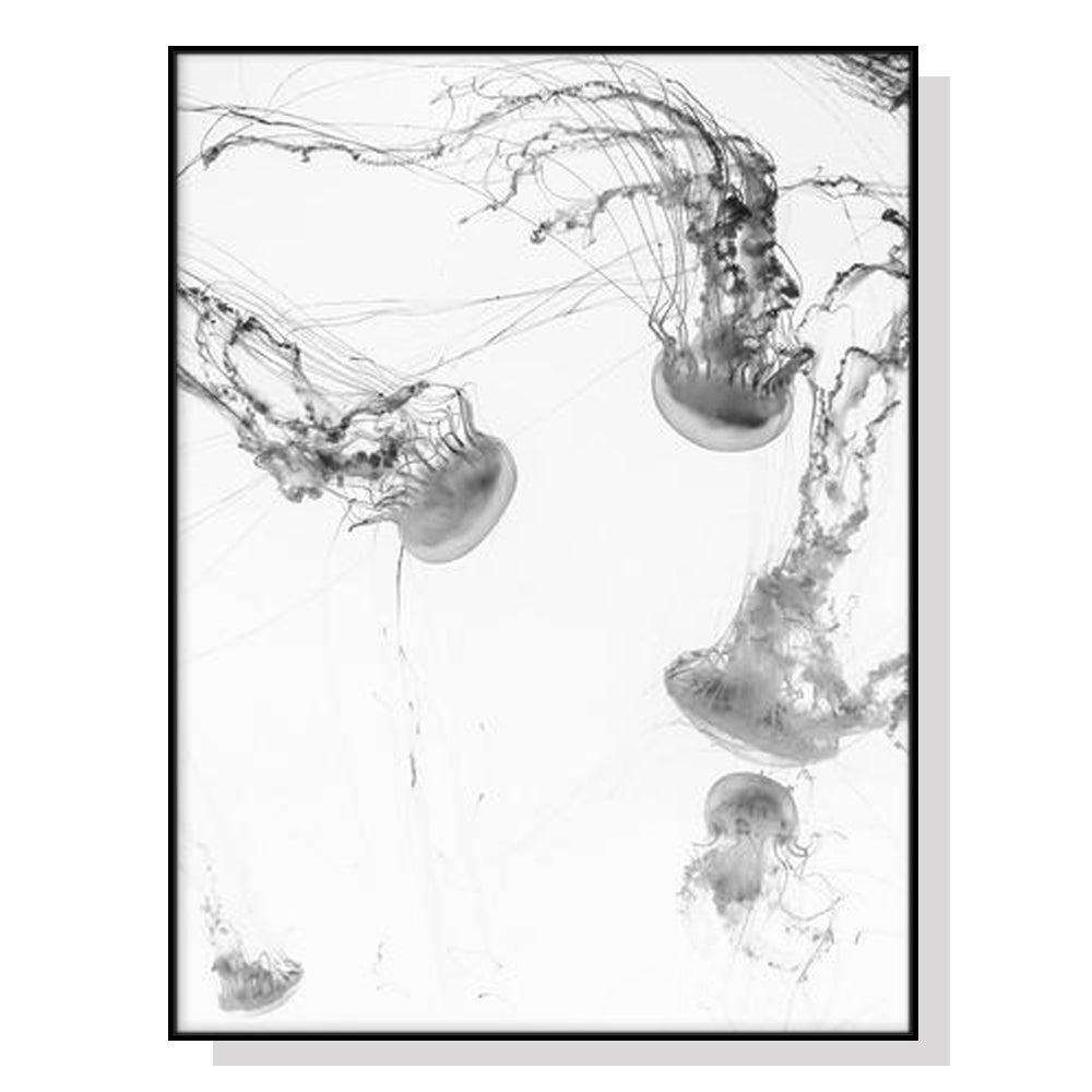50cmx70cm Jellyfish Black Frame Canvas Wall Art-Home & Garden > Wall Art-PEROZ Accessories