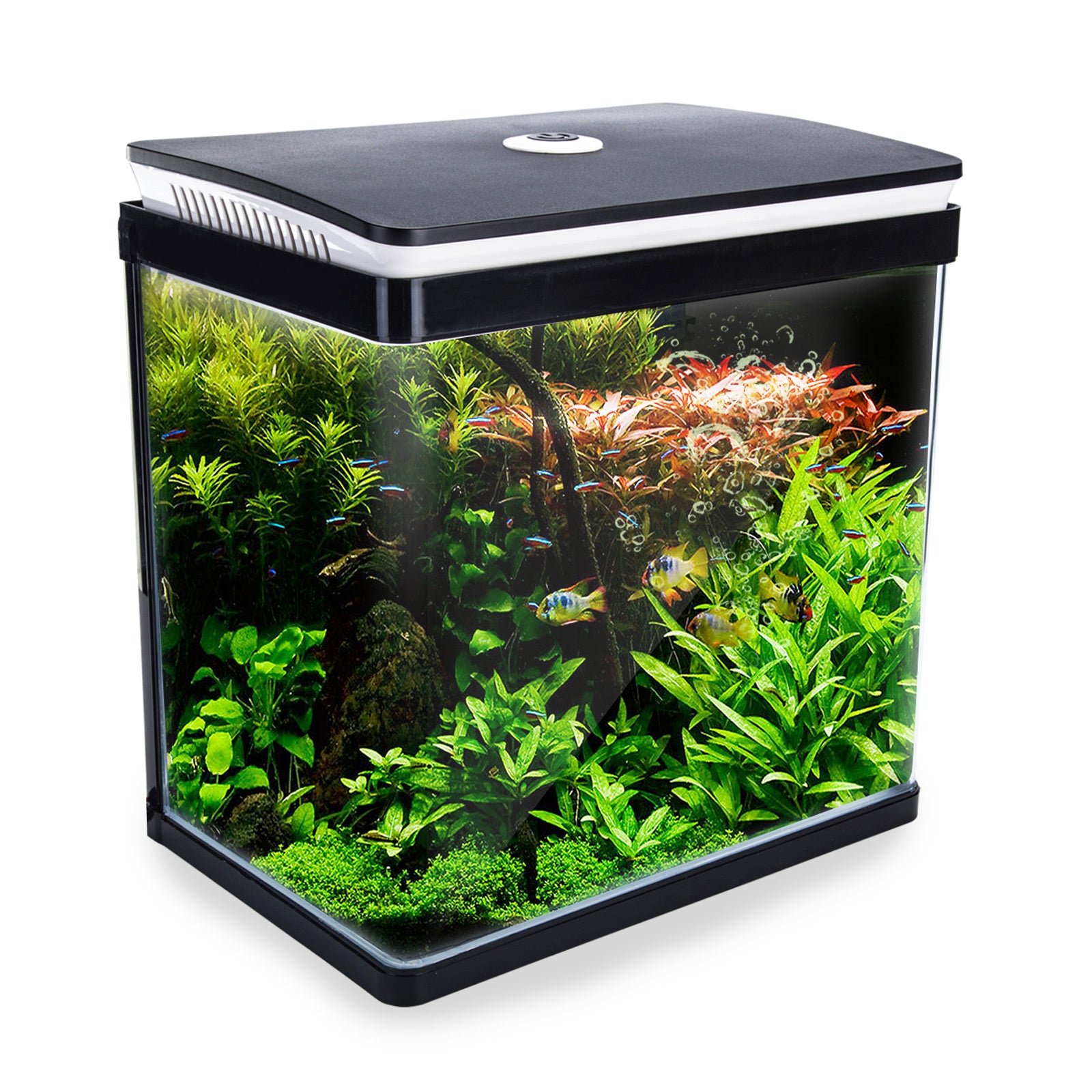 Dynamic Power Aquarium Fish Tank 30L Curved Glass RGB LED-Pet Care > Aquarium-PEROZ Accessories