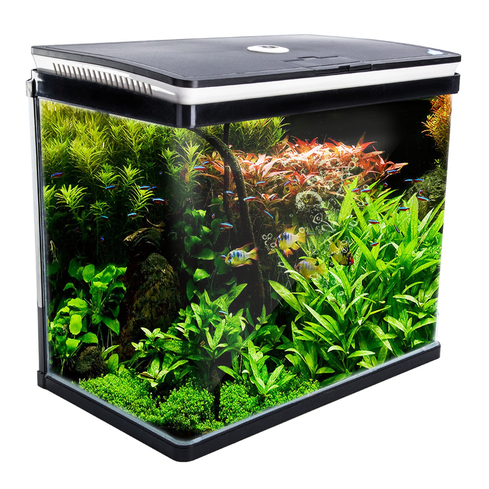 Dynamic Power Aquarium Fish Tank 52L Curved Glass RGB LED-Pet Care > Aquarium-PEROZ Accessories