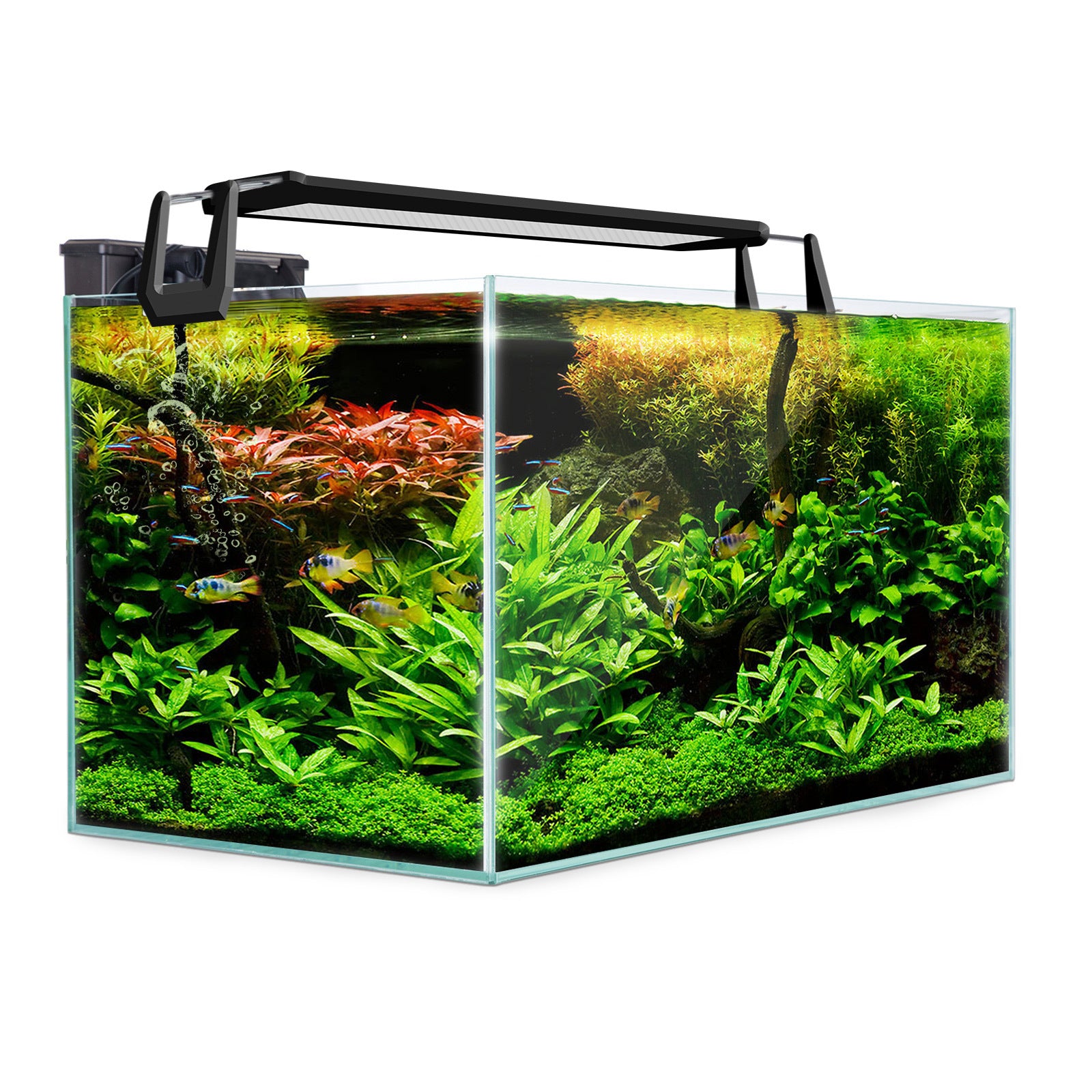 Dynamic Power Aquarium Fish Tank 70L Starfire Glass-Pet Care > Aquarium-PEROZ Accessories