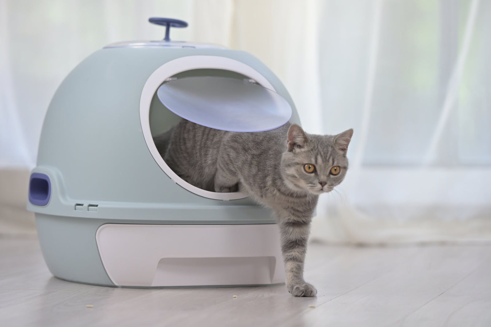 YES4PETS Cat Toilet Litter Box Tray House W Sky window Drawer Photocatalyst Purifier Blue-Pet Care > Cat Supplies-PEROZ Accessories