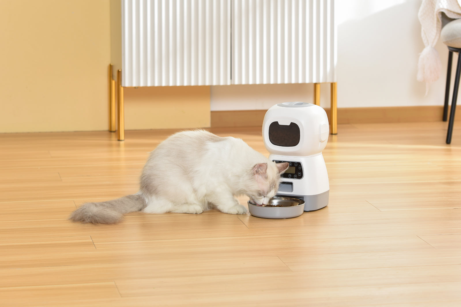 YES4PETS 3.5L Visible Automatic Digital Pet Dog Cat Feeder Food Bowl Dispenser-Pet Care > Dog Supplies-PEROZ Accessories