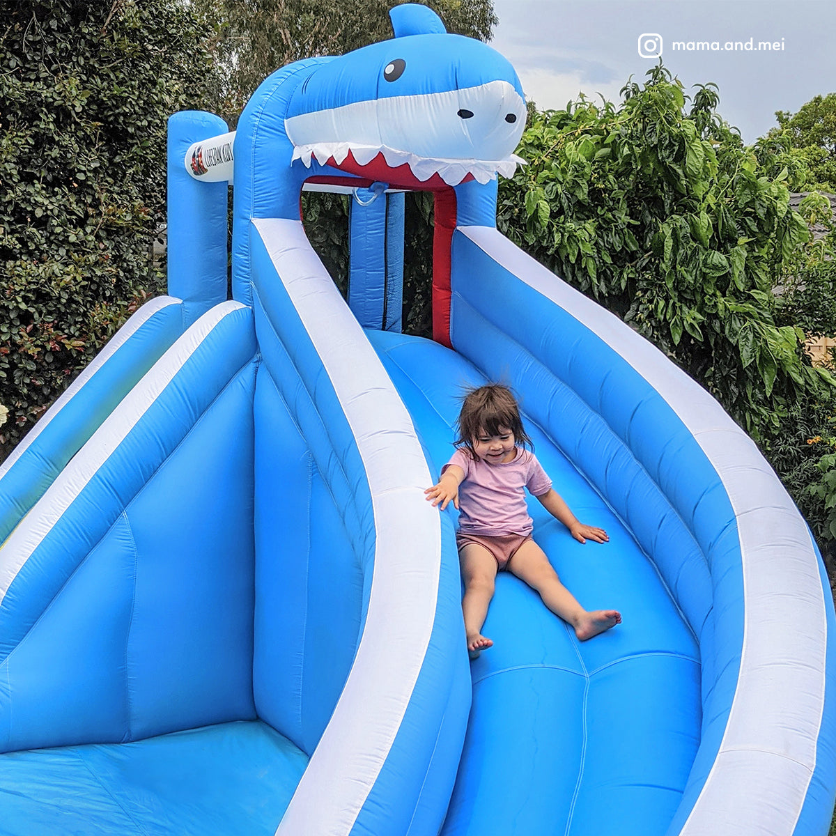 Lifespan Kids Sharky Slide & Splash Inflatable-Baby & Kids > Toys-PEROZ Accessories