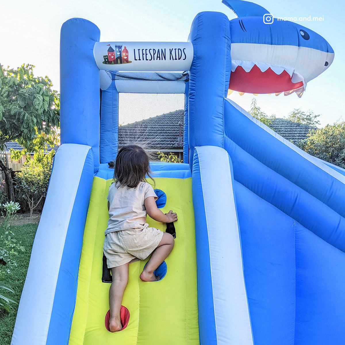Lifespan Kids Sharky Slide & Splash Inflatable-Baby & Kids > Toys-PEROZ Accessories