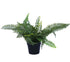 Small Potted Artificial Dark Green Fern Plant UV Resistant 20cm-Home & Garden > Artificial Plants-PEROZ Accessories