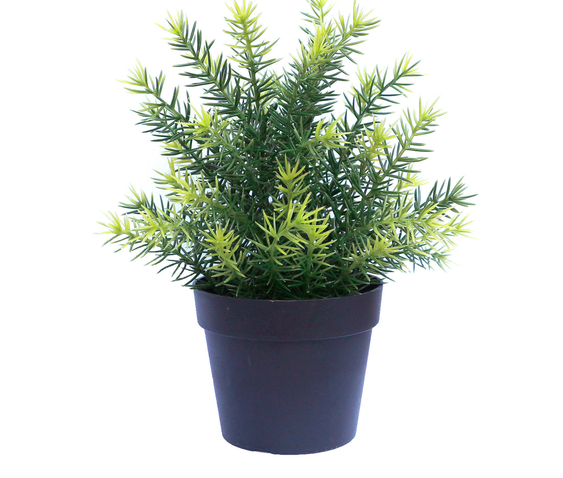 Small Potted Artificial Native Grass Plant UV Resistant 20cm-Home &amp; Garden &gt; Home &amp; Garden Others-PEROZ Accessories
