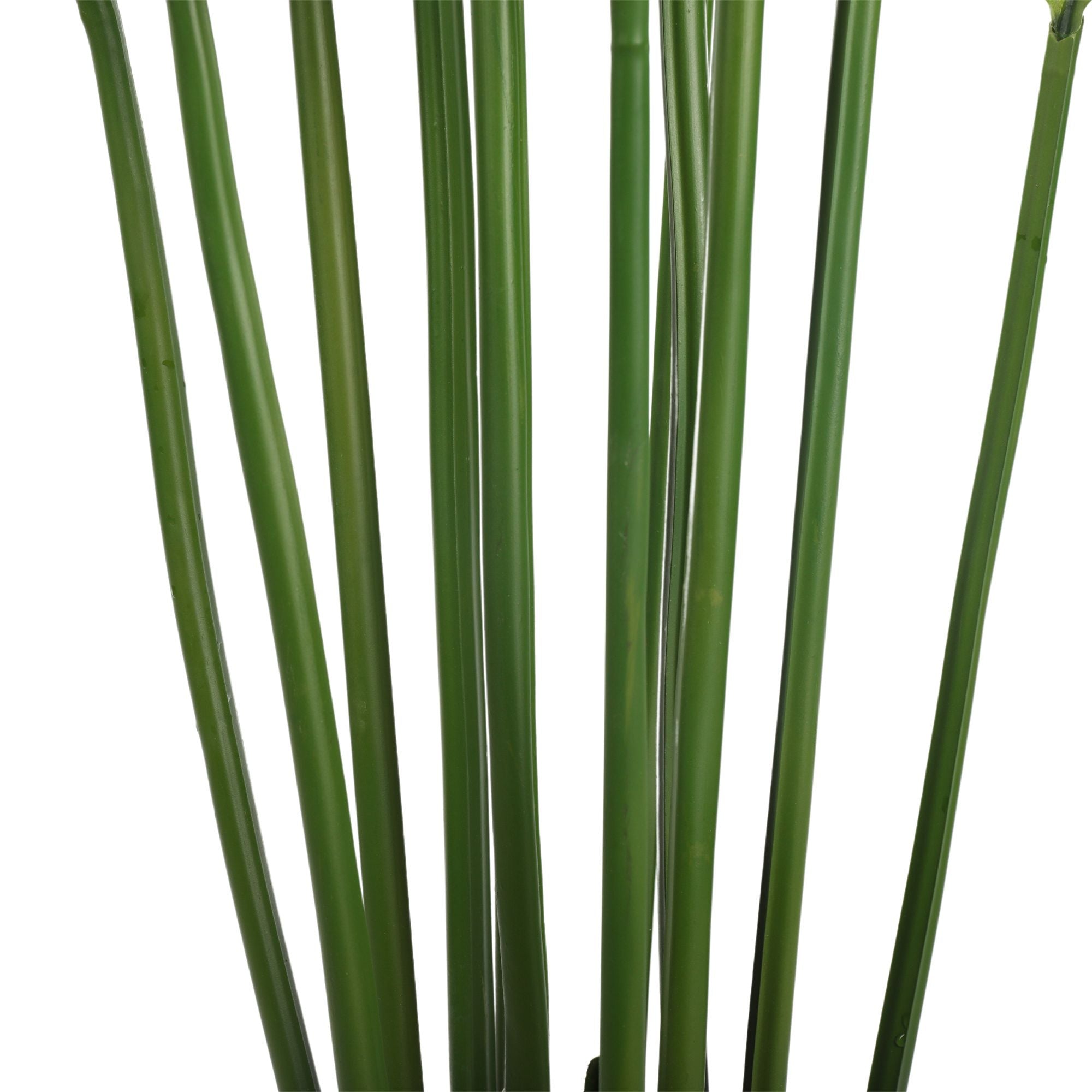 Artificial Multi Stem Hawaii Palm 190cm-Home & Garden > Artificial Plants-PEROZ Accessories