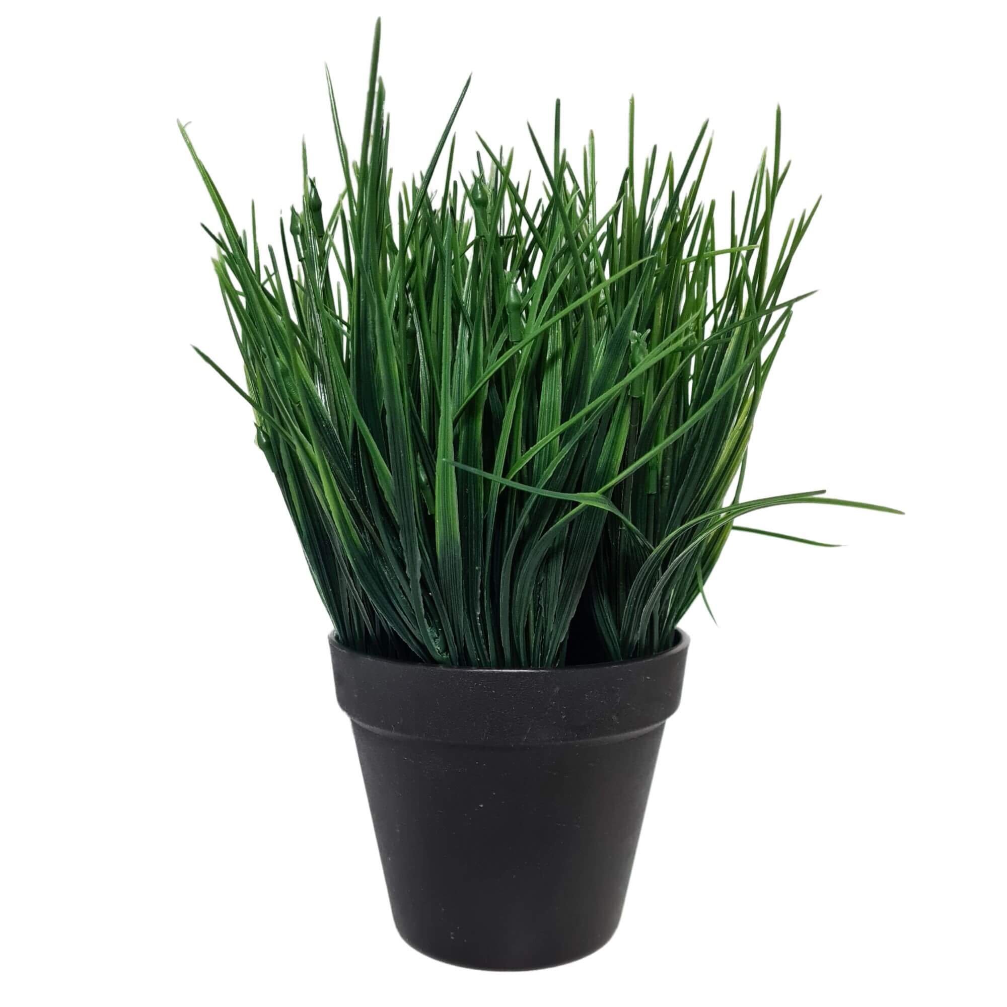 Artificial Ornamental Potted Dense Green Grass UV Resistant 30cm (Overstock Clearance)-Home & Garden > Artificial Plants-PEROZ Accessories